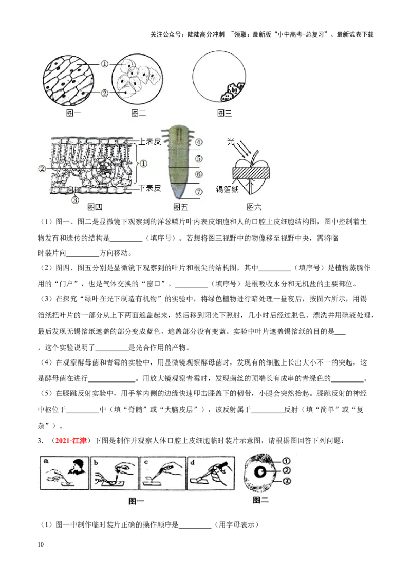 专题02&nbsp;生物体的结构层次（原卷版）_02中考总复习（2026版更新中）_08-生物-中考总复习_2024年中考复习资料_专项复习_完三年（2021-2023）中考生物真题分项汇编（全国通用）