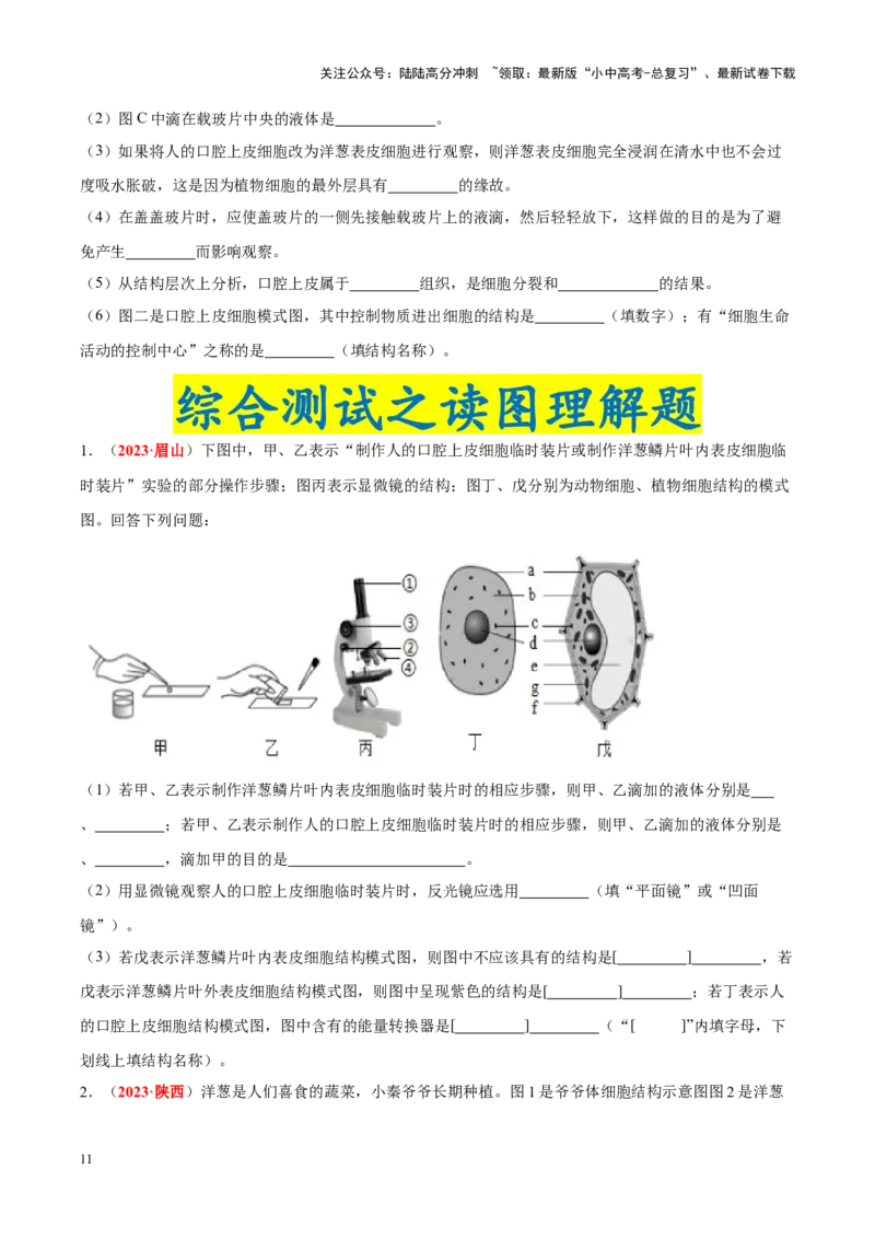 专题02&nbsp;生物体的结构层次（原卷版）_02中考总复习（2026版更新中）_08-生物-中考总复习_2024年中考复习资料_专项复习_完三年（2021-2023）中考生物真题分项汇编（全国通用）