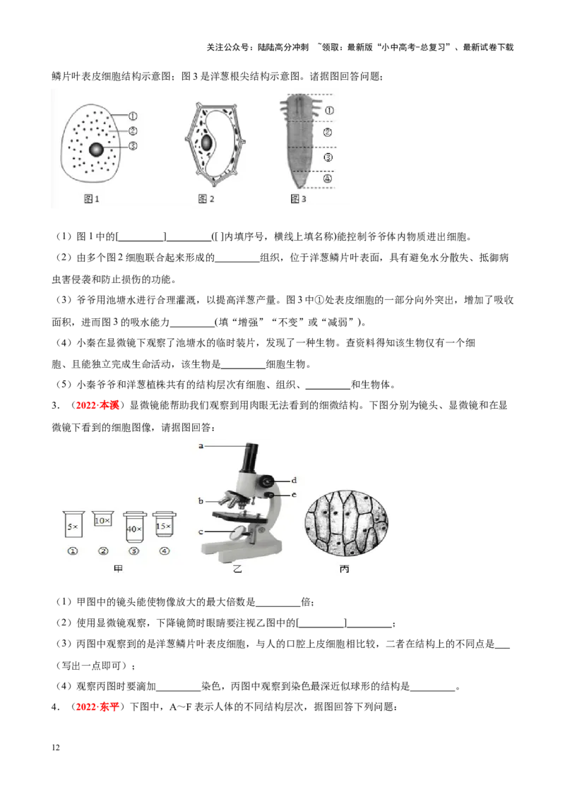 专题02&nbsp;生物体的结构层次（原卷版）_02中考总复习（2026版更新中）_08-生物-中考总复习_2024年中考复习资料_专项复习_完三年（2021-2023）中考生物真题分项汇编（全国通用）