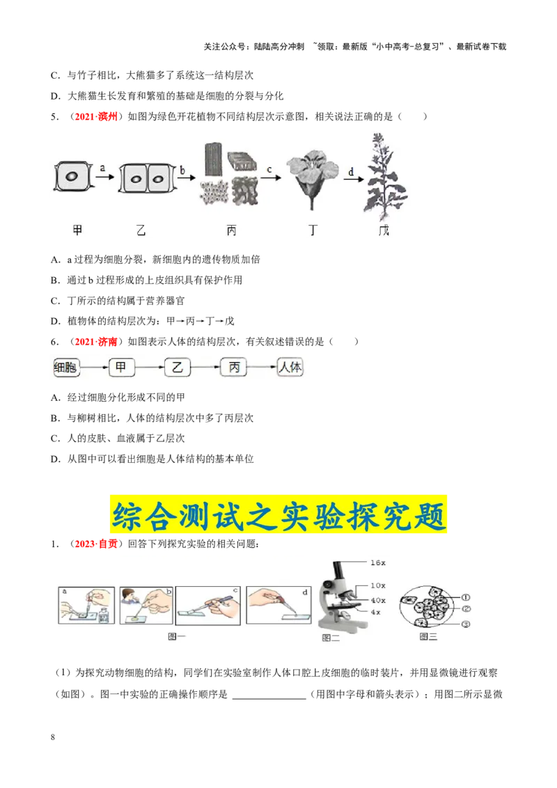 专题02&nbsp;生物体的结构层次（原卷版）_02中考总复习（2026版更新中）_08-生物-中考总复习_2024年中考复习资料_专项复习_完三年（2021-2023）中考生物真题分项汇编（全国通用）