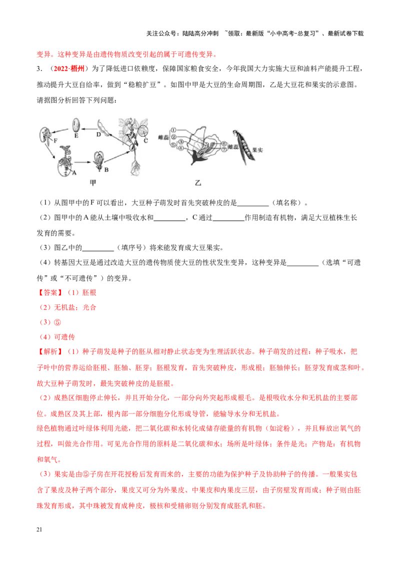 专题03&nbsp;绿色开花植物的一生（解析版）_02中考总复习（2026版更新中）_08-生物-中考总复习_2024年中考复习资料_专项复习_完三年（2021-2023）中考生物真题分项汇编（全国通用）