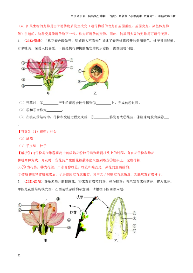 专题03&nbsp;绿色开花植物的一生（解析版）_02中考总复习（2026版更新中）_08-生物-中考总复习_2024年中考复习资料_专项复习_完三年（2021-2023）中考生物真题分项汇编（全国通用）