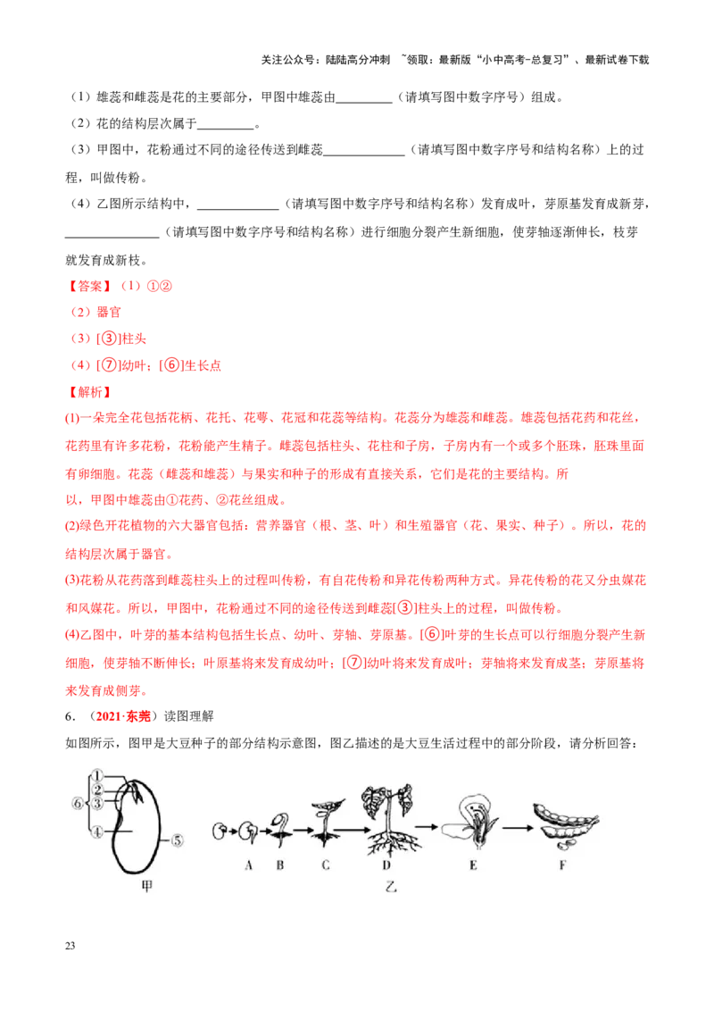 专题03&nbsp;绿色开花植物的一生（解析版）_02中考总复习（2026版更新中）_08-生物-中考总复习_2024年中考复习资料_专项复习_完三年（2021-2023）中考生物真题分项汇编（全国通用）