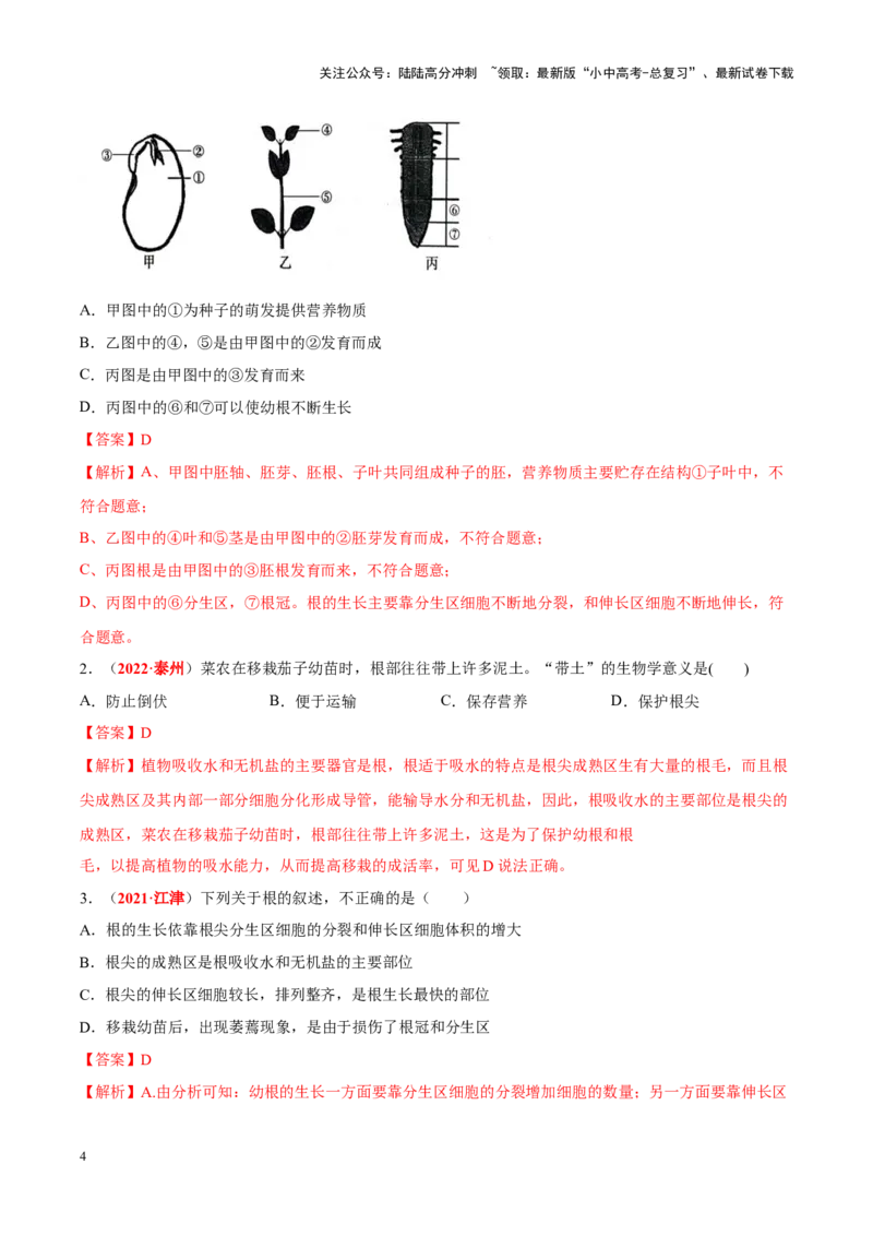 专题03&nbsp;绿色开花植物的一生（解析版）_02中考总复习（2026版更新中）_08-生物-中考总复习_2024年中考复习资料_专项复习_完三年（2021-2023）中考生物真题分项汇编（全国通用）