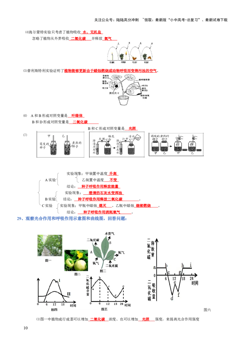 专题03生物圈中的绿色植物(背诵版)_02中考总复习（2026版更新中）_08-生物-中考总复习_2025中考复习资料_2025年中考生物知识梳理_专题03生物圈中的绿色植物_专题03生物圈中的绿色植物