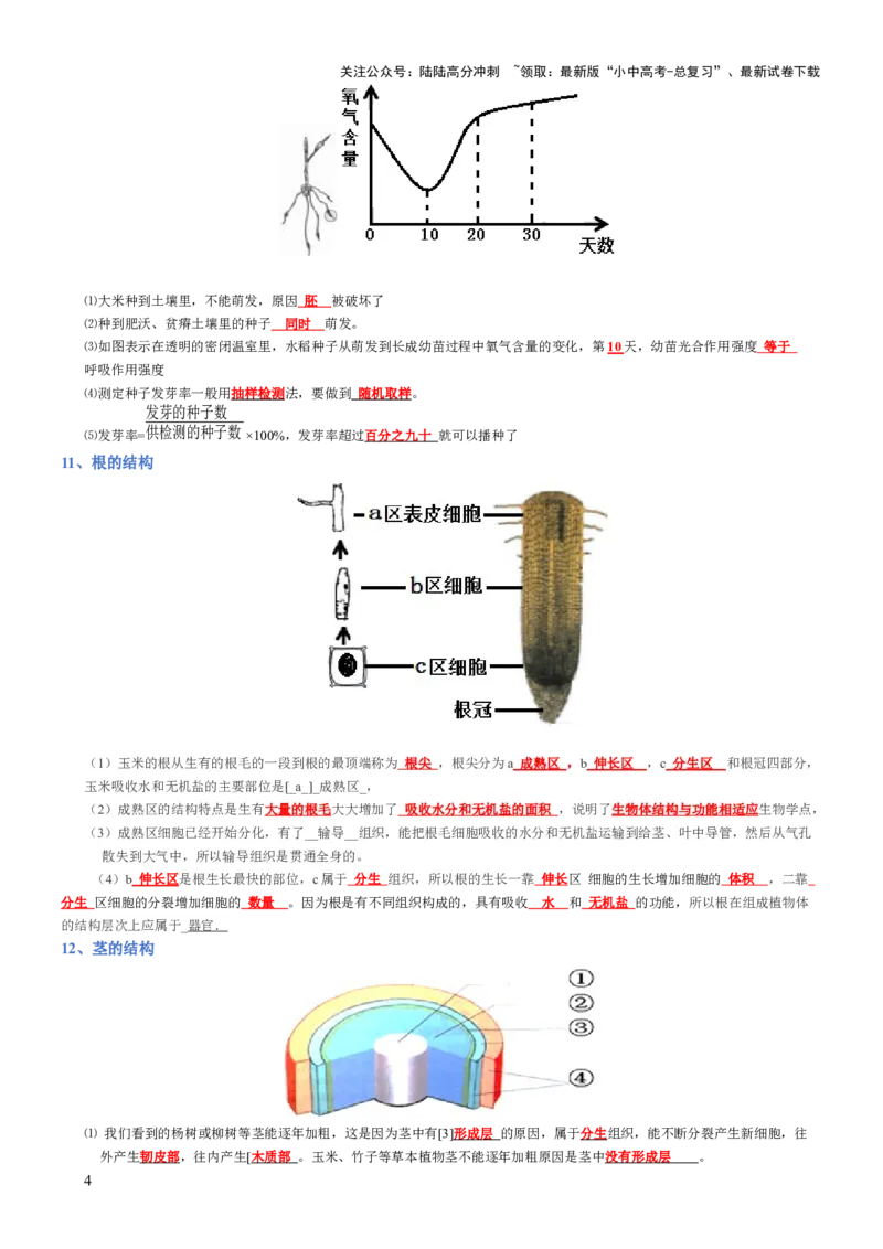 专题03生物圈中的绿色植物(背诵版)_02中考总复习（2026版更新中）_08-生物-中考总复习_2025中考复习资料_2025年中考生物知识梳理_专题03生物圈中的绿色植物_专题03生物圈中的绿色植物