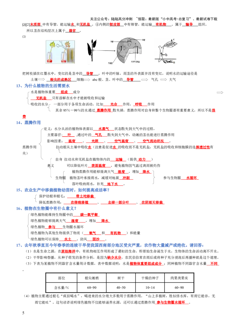 专题03生物圈中的绿色植物(背诵版)_02中考总复习（2026版更新中）_08-生物-中考总复习_2025中考复习资料_2025年中考生物知识梳理_专题03生物圈中的绿色植物_专题03生物圈中的绿色植物
