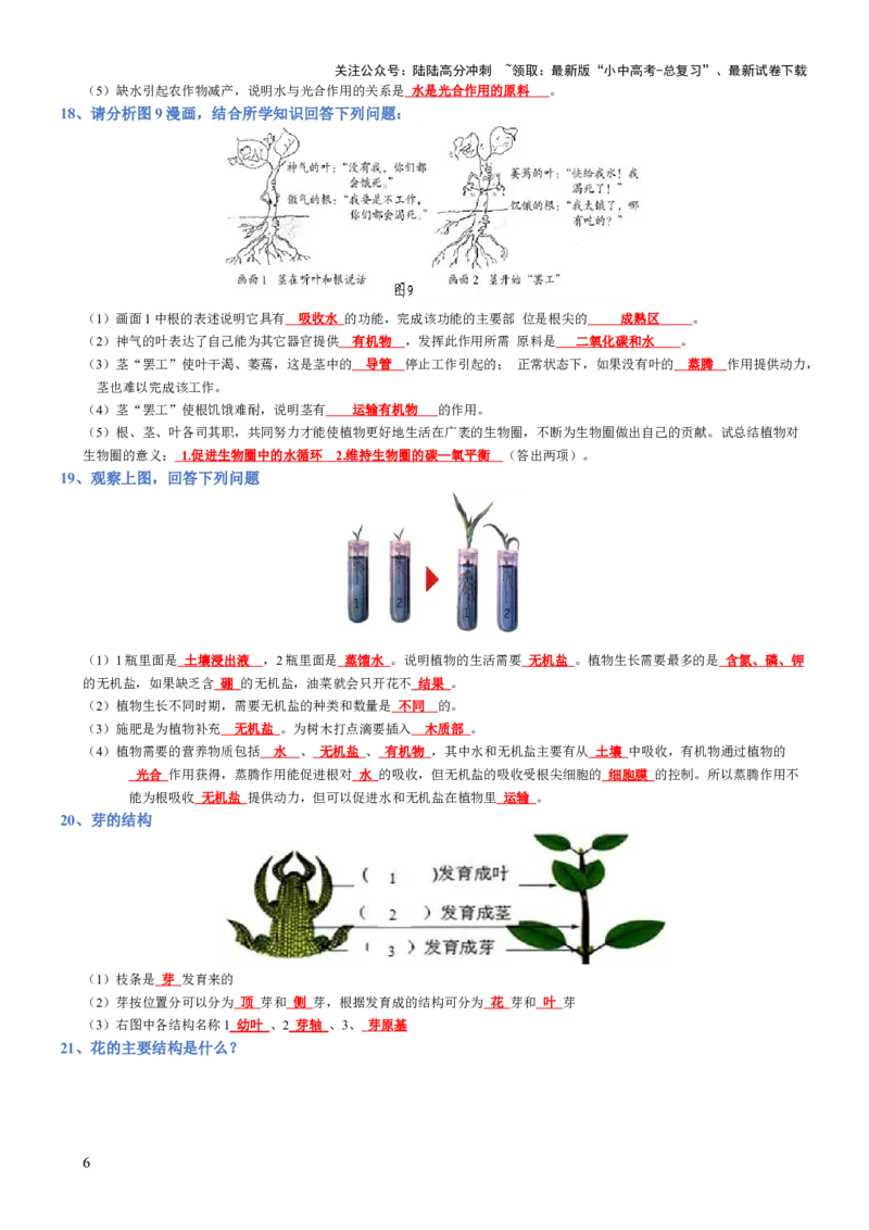 专题03生物圈中的绿色植物(背诵版)_02中考总复习（2026版更新中）_08-生物-中考总复习_2025中考复习资料_2025年中考生物知识梳理_专题03生物圈中的绿色植物_专题03生物圈中的绿色植物