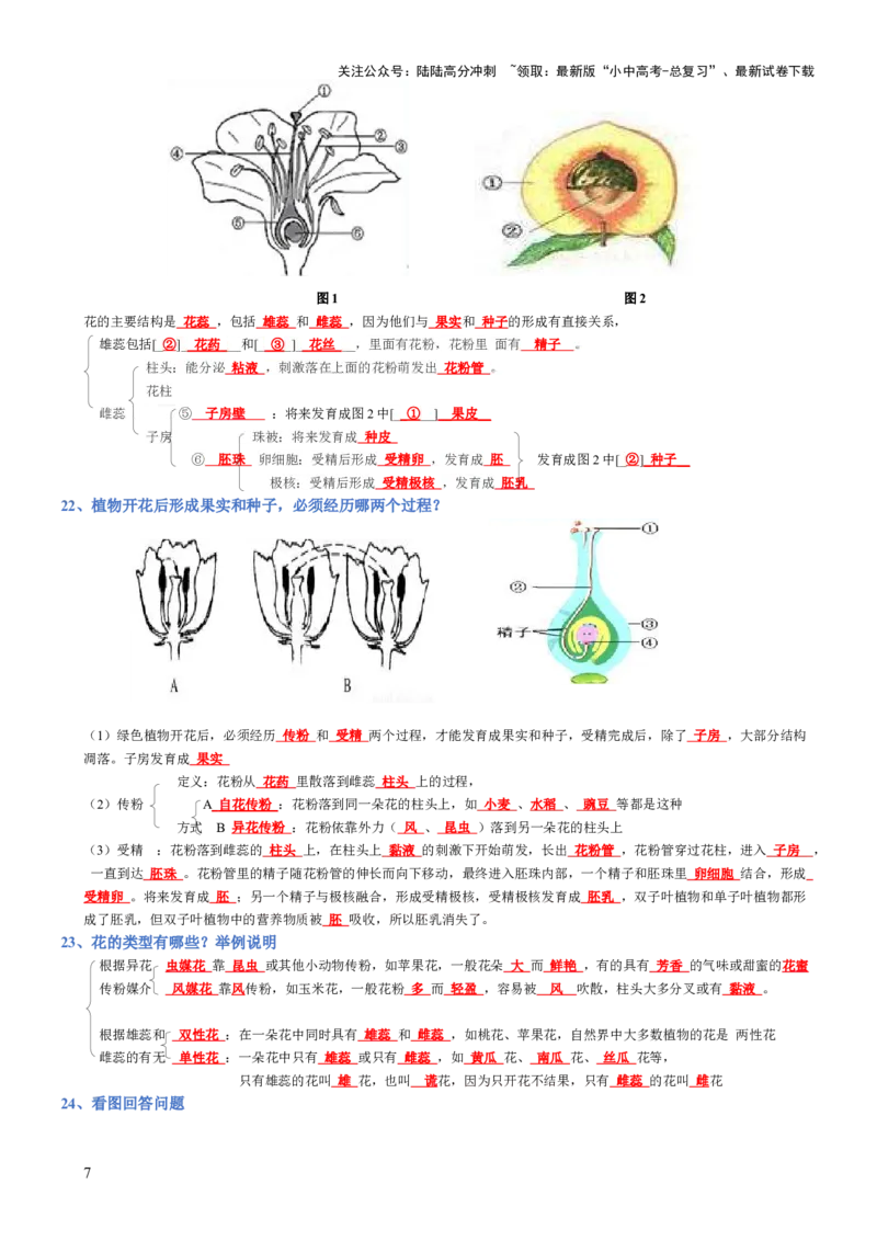 专题03生物圈中的绿色植物(背诵版)_02中考总复习（2026版更新中）_08-生物-中考总复习_2025中考复习资料_2025年中考生物知识梳理_专题03生物圈中的绿色植物_专题03生物圈中的绿色植物