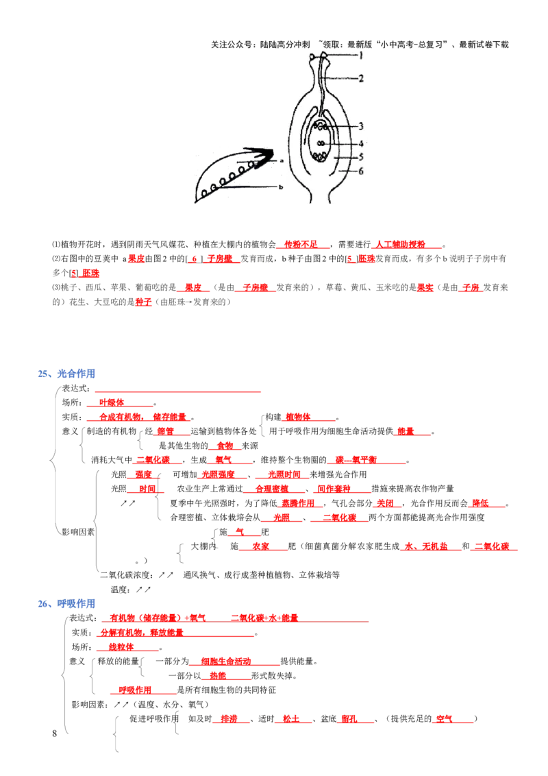 专题03生物圈中的绿色植物(背诵版)_02中考总复习（2026版更新中）_08-生物-中考总复习_2025中考复习资料_2025年中考生物知识梳理_专题03生物圈中的绿色植物_专题03生物圈中的绿色植物