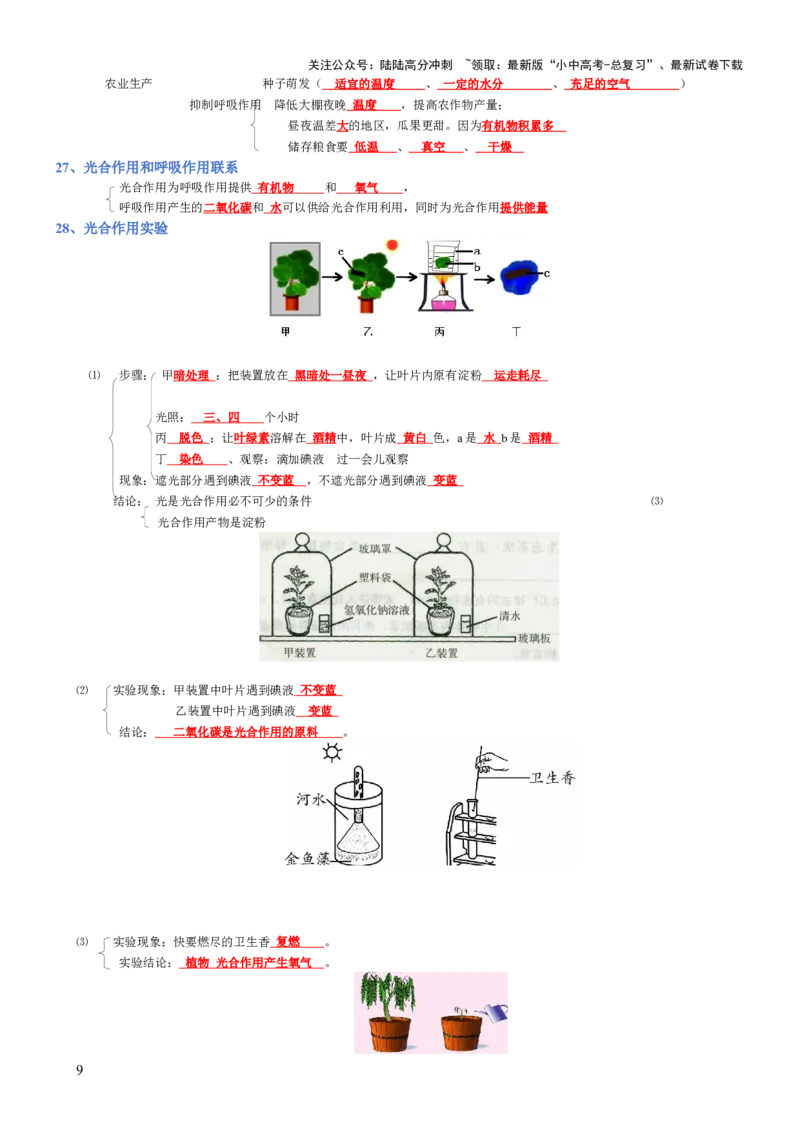 专题03生物圈中的绿色植物(背诵版)_02中考总复习（2026版更新中）_08-生物-中考总复习_2025中考复习资料_2025年中考生物知识梳理_专题03生物圈中的绿色植物_专题03生物圈中的绿色植物