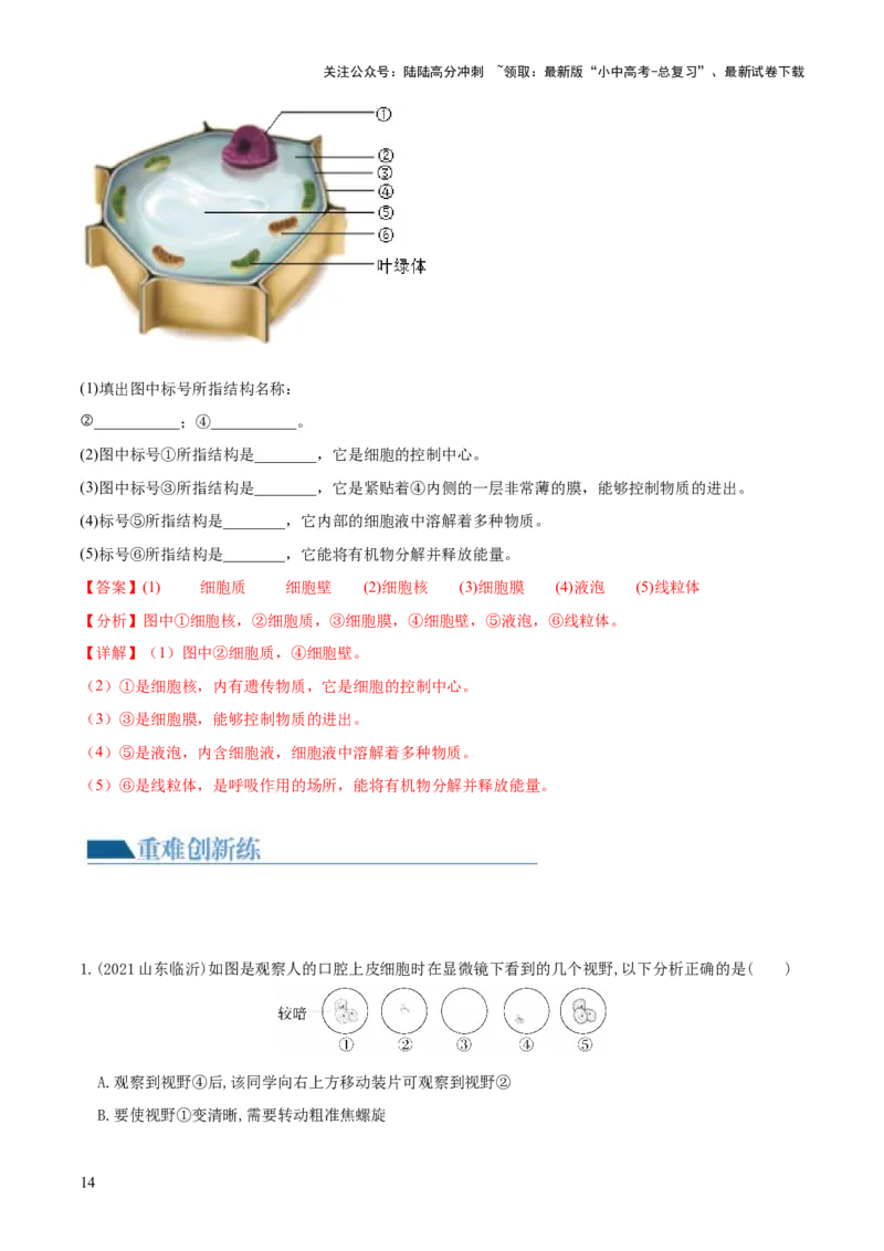专题02细胞是生命活动的基本单位（练习）（解析版）_02中考总复习（2026版更新中）_08-生物-中考总复习_2024年中考复习资料_一轮复习_❤2024年中考生物一轮复习讲练测（全国通用）_练习