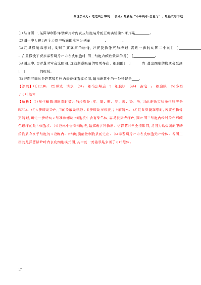 专题02细胞是生命活动的基本单位（练习）（解析版）_02中考总复习（2026版更新中）_08-生物-中考总复习_2024年中考复习资料_一轮复习_❤2024年中考生物一轮复习讲练测（全国通用）_练习