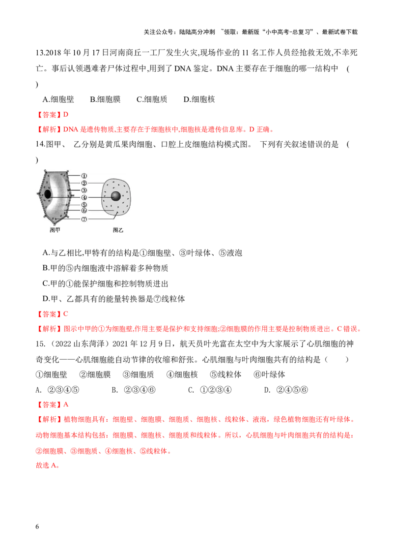 专题02细胞是生命活动的基本单位（练习）（解析版）_02中考总复习（2026版更新中）_08-生物-中考总复习_2024年中考复习资料_一轮复习_❤2024年中考生物一轮复习讲练测（全国通用）_练习