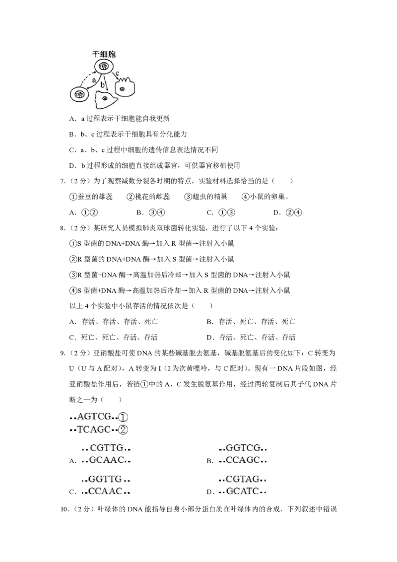 2008年江苏省高考生物试卷_全国卷+地方卷_6.生物_1.生物高考真题试卷_2008-2020年_地方卷_江苏高考生物07-20_A4word版_PDF版（赠送）