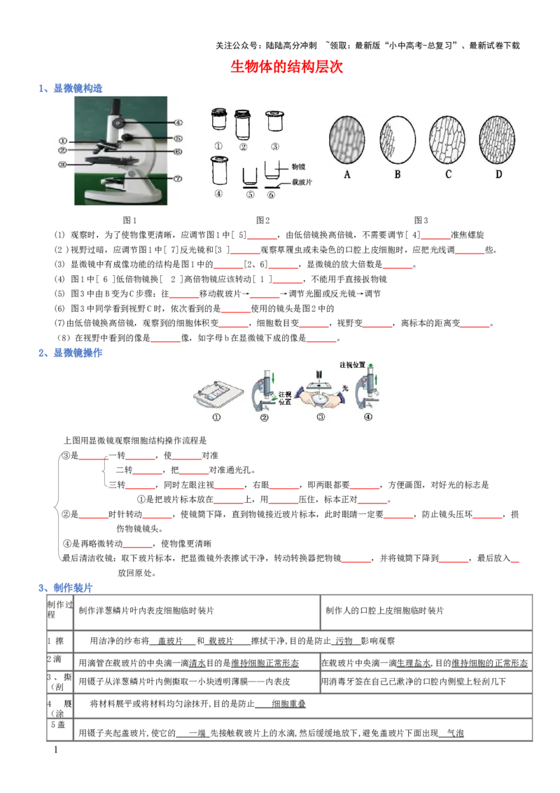 专题02生物体的结构层次（填空版）_02中考总复习（2026版更新中）_08-生物-中考总复习_2025中考复习资料_2025年中考生物知识梳理_专题02生物体的结构层次_专题02生物体的结构层次