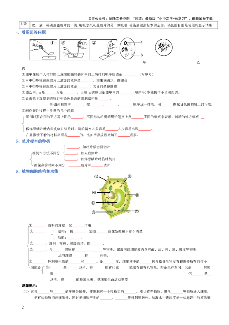 专题02生物体的结构层次（填空版）_02中考总复习（2026版更新中）_08-生物-中考总复习_2025中考复习资料_2025年中考生物知识梳理_专题02生物体的结构层次_专题02生物体的结构层次
