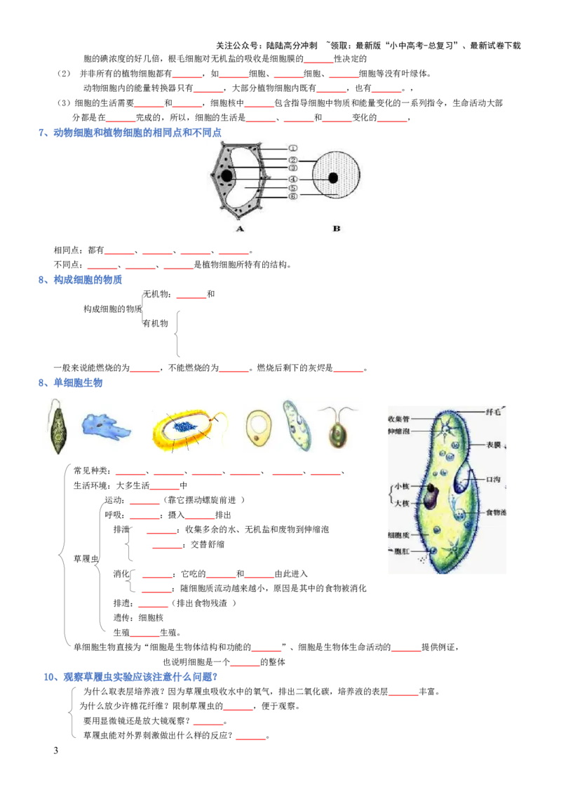 专题02生物体的结构层次（填空版）_02中考总复习（2026版更新中）_08-生物-中考总复习_2025中考复习资料_2025年中考生物知识梳理_专题02生物体的结构层次_专题02生物体的结构层次