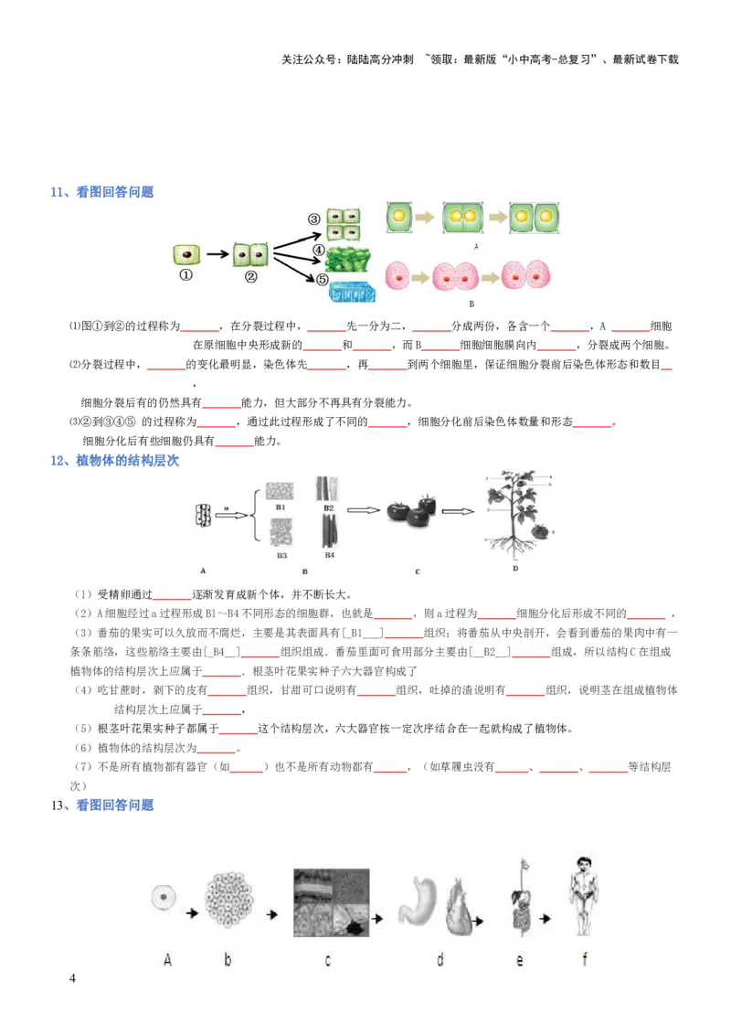 专题02生物体的结构层次（填空版）_02中考总复习（2026版更新中）_08-生物-中考总复习_2025中考复习资料_2025年中考生物知识梳理_专题02生物体的结构层次_专题02生物体的结构层次