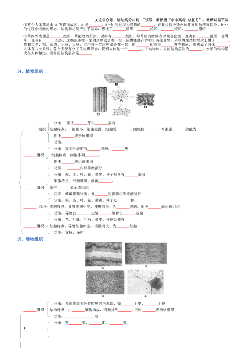专题02生物体的结构层次（填空版）_02中考总复习（2026版更新中）_08-生物-中考总复习_2025中考复习资料_2025年中考生物知识梳理_专题02生物体的结构层次_专题02生物体的结构层次