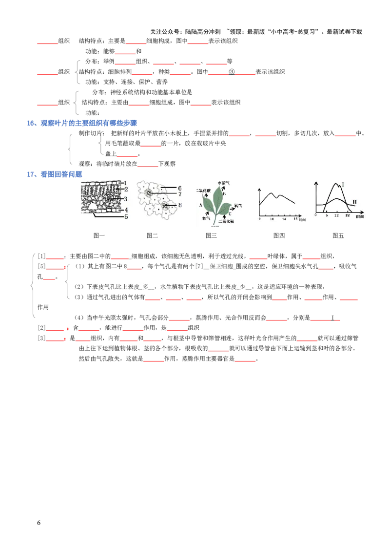 专题02生物体的结构层次（填空版）_02中考总复习（2026版更新中）_08-生物-中考总复习_2025中考复习资料_2025年中考生物知识梳理_专题02生物体的结构层次_专题02生物体的结构层次