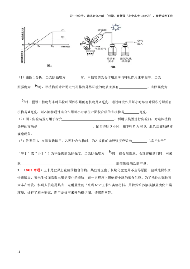 专题04&nbsp;绿色植物的蒸腾作用、光合作用和呼吸作用（原卷版）_02中考总复习（2026版更新中）_08-生物-中考总复习_2024年中考复习资料_专项复习