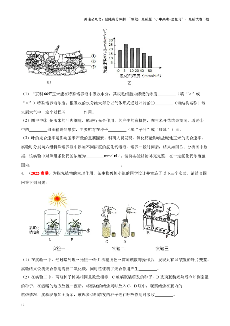 专题04&nbsp;绿色植物的蒸腾作用、光合作用和呼吸作用（原卷版）_02中考总复习（2026版更新中）_08-生物-中考总复习_2024年中考复习资料_专项复习