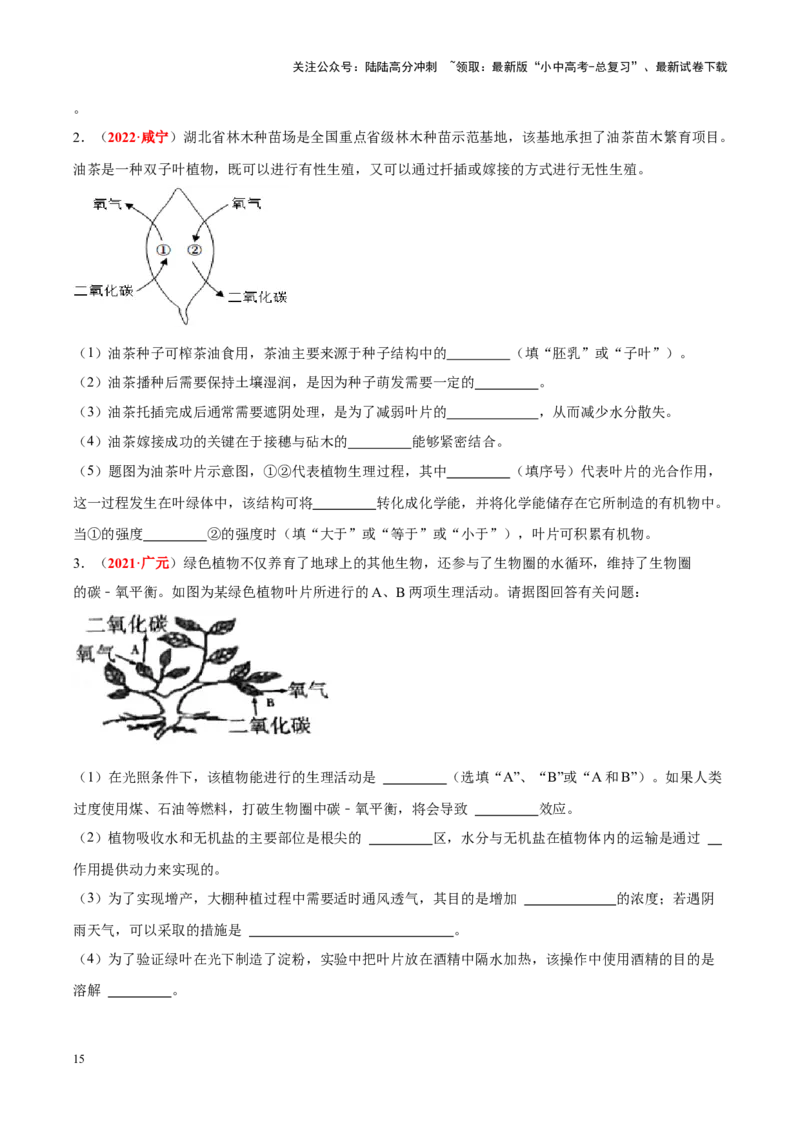 专题04&nbsp;绿色植物的蒸腾作用、光合作用和呼吸作用（原卷版）_02中考总复习（2026版更新中）_08-生物-中考总复习_2024年中考复习资料_专项复习