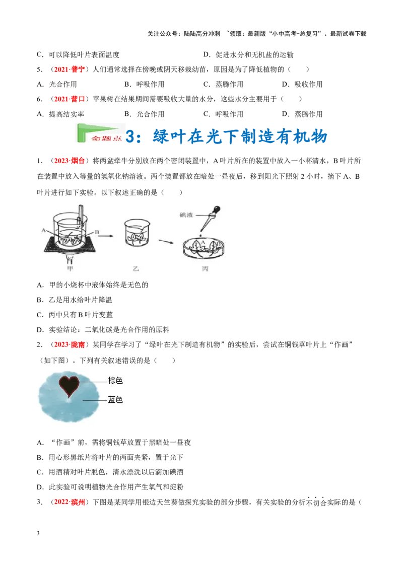 专题04&nbsp;绿色植物的蒸腾作用、光合作用和呼吸作用（原卷版）_02中考总复习（2026版更新中）_08-生物-中考总复习_2024年中考复习资料_专项复习