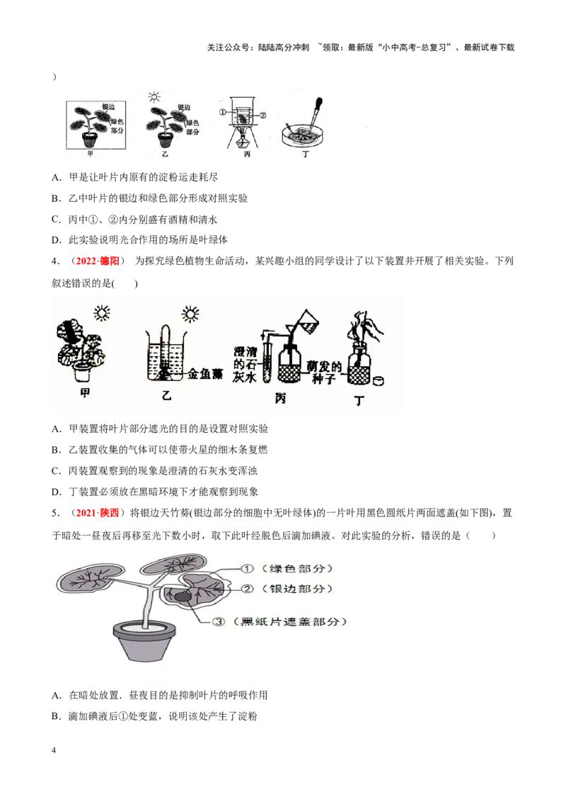 专题04&nbsp;绿色植物的蒸腾作用、光合作用和呼吸作用（原卷版）_02中考总复习（2026版更新中）_08-生物-中考总复习_2024年中考复习资料_专项复习