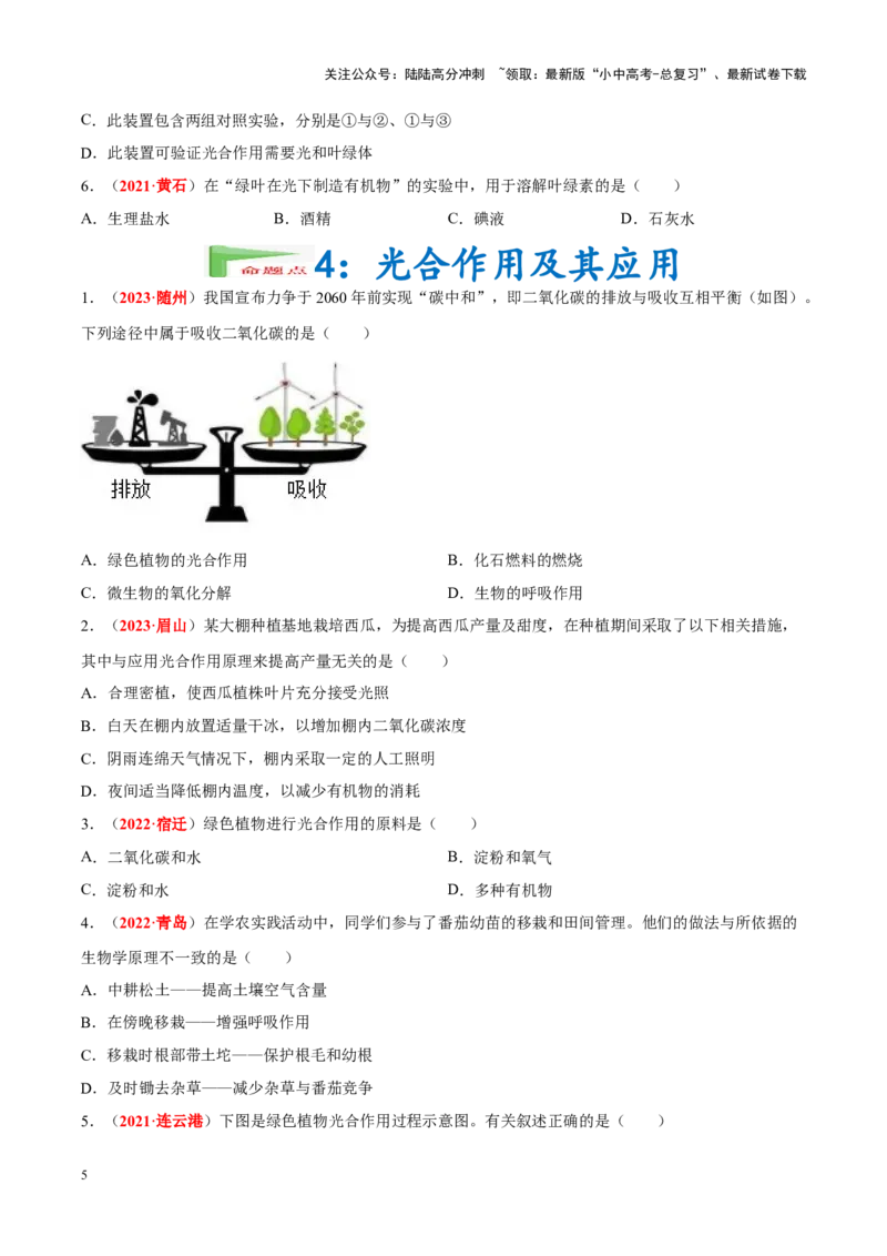 专题04&nbsp;绿色植物的蒸腾作用、光合作用和呼吸作用（原卷版）_02中考总复习（2026版更新中）_08-生物-中考总复习_2024年中考复习资料_专项复习