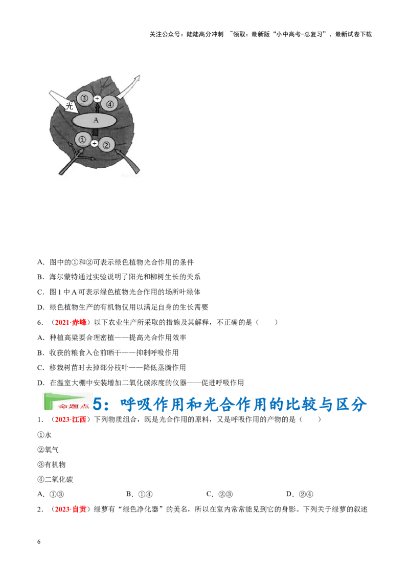 专题04&nbsp;绿色植物的蒸腾作用、光合作用和呼吸作用（原卷版）_02中考总复习（2026版更新中）_08-生物-中考总复习_2024年中考复习资料_专项复习