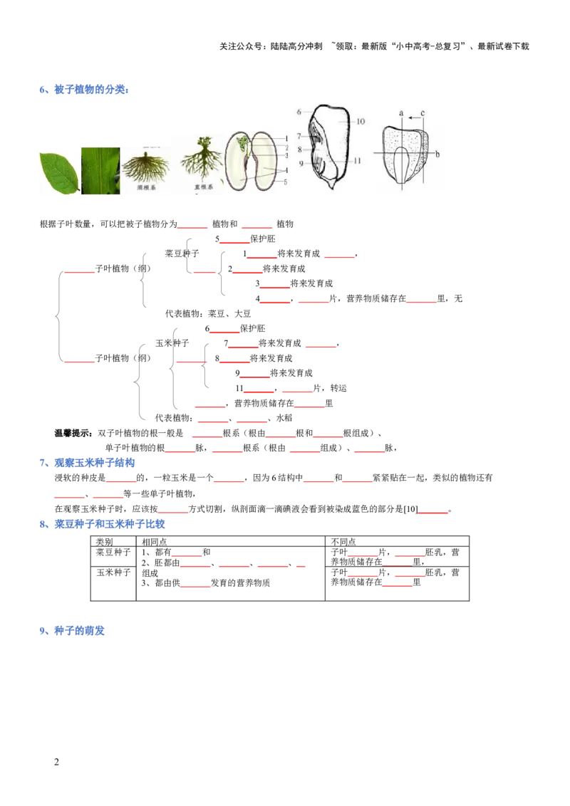 专题03生物圈中的绿色植物(填空版)_02中考总复习（2026版更新中）_08-生物-中考总复习_2025中考复习资料_2025年中考生物知识梳理_专题03生物圈中的绿色植物_专题03生物圈中的绿色植物