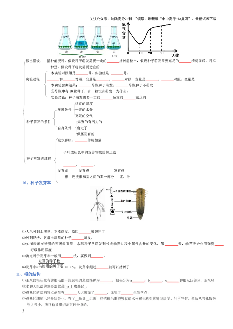 专题03生物圈中的绿色植物(填空版)_02中考总复习（2026版更新中）_08-生物-中考总复习_2025中考复习资料_2025年中考生物知识梳理_专题03生物圈中的绿色植物_专题03生物圈中的绿色植物