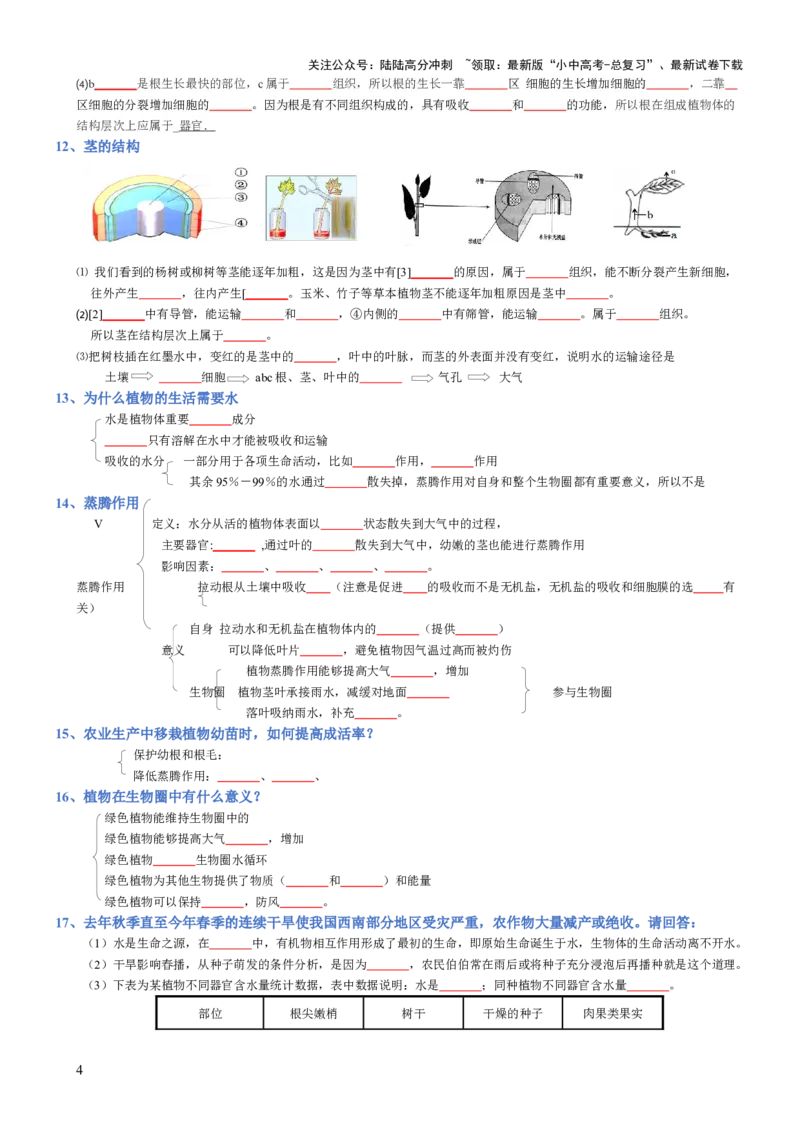 专题03生物圈中的绿色植物(填空版)_02中考总复习（2026版更新中）_08-生物-中考总复习_2025中考复习资料_2025年中考生物知识梳理_专题03生物圈中的绿色植物_专题03生物圈中的绿色植物