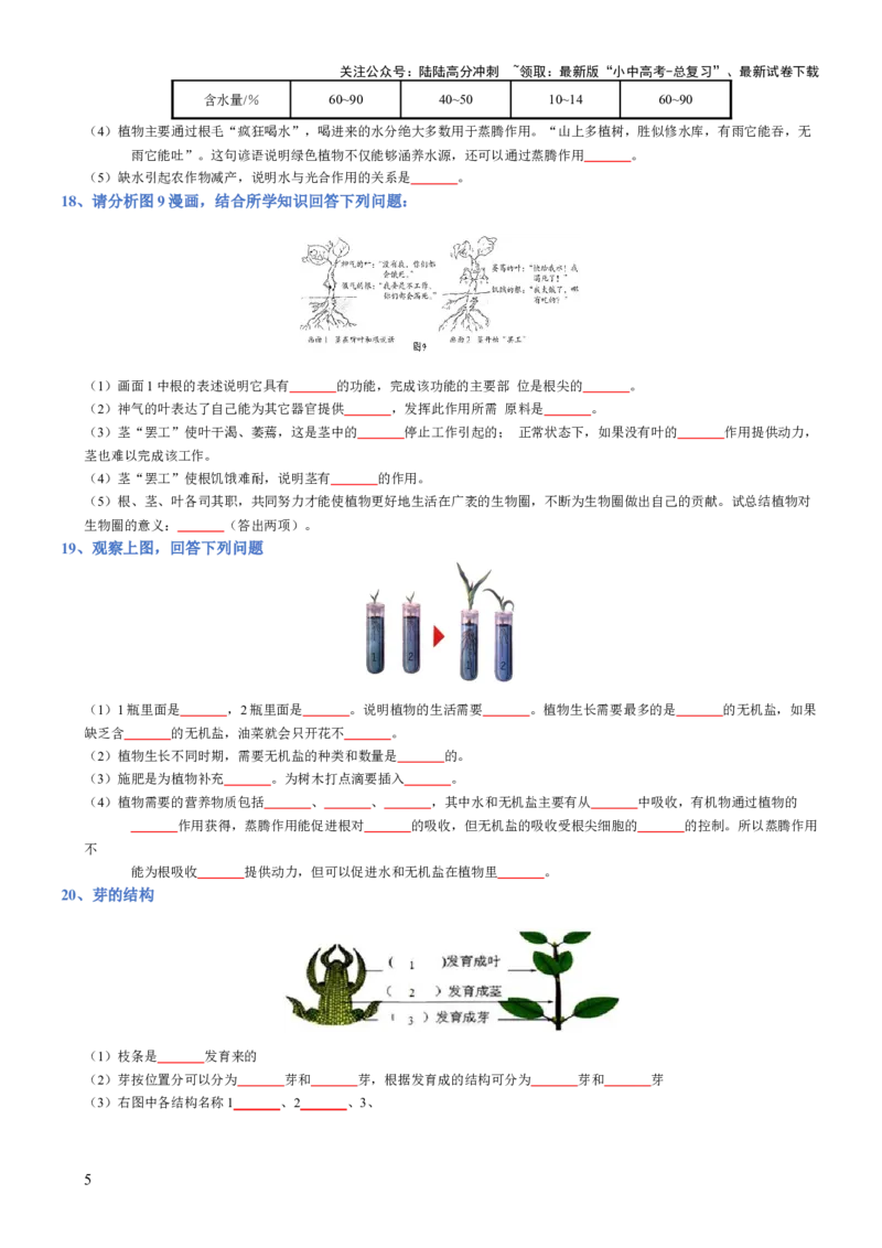 专题03生物圈中的绿色植物(填空版)_02中考总复习（2026版更新中）_08-生物-中考总复习_2025中考复习资料_2025年中考生物知识梳理_专题03生物圈中的绿色植物_专题03生物圈中的绿色植物