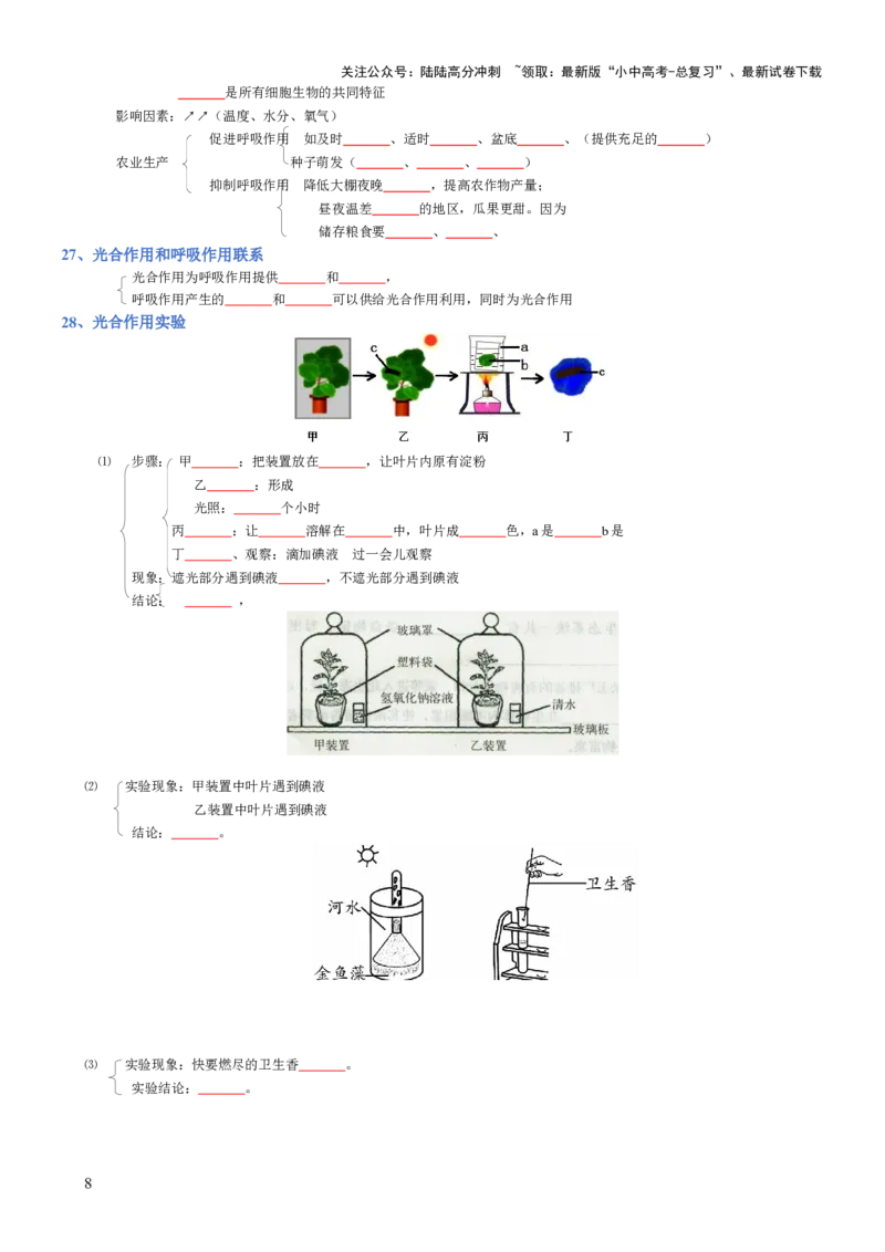 专题03生物圈中的绿色植物(填空版)_02中考总复习（2026版更新中）_08-生物-中考总复习_2025中考复习资料_2025年中考生物知识梳理_专题03生物圈中的绿色植物_专题03生物圈中的绿色植物