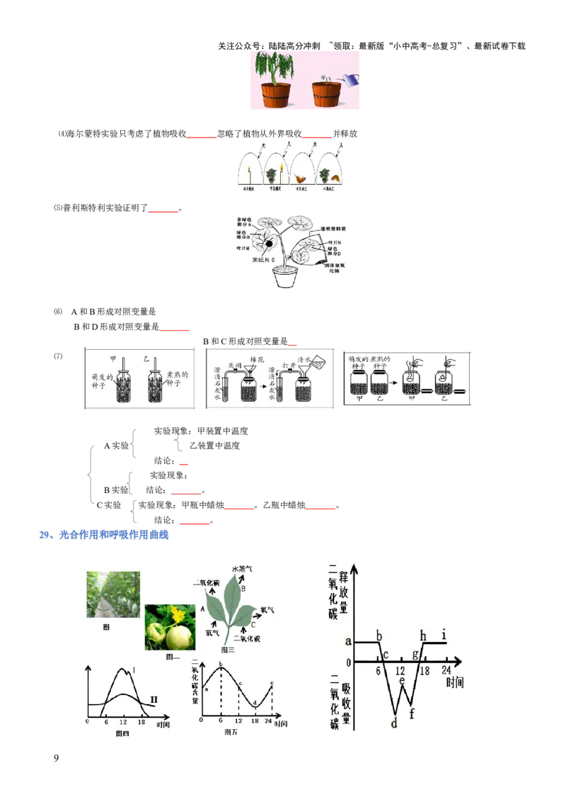 专题03生物圈中的绿色植物(填空版)_02中考总复习（2026版更新中）_08-生物-中考总复习_2025中考复习资料_2025年中考生物知识梳理_专题03生物圈中的绿色植物_专题03生物圈中的绿色植物
