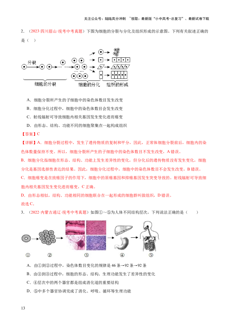 专题03细胞怎样构成生物体（解析版）_02中考总复习（2026版更新中）_08-生物-中考总复习_2024年中考复习资料_一轮复习_❤备战2024年中考生物一轮复习考点帮（全国通用）_练习