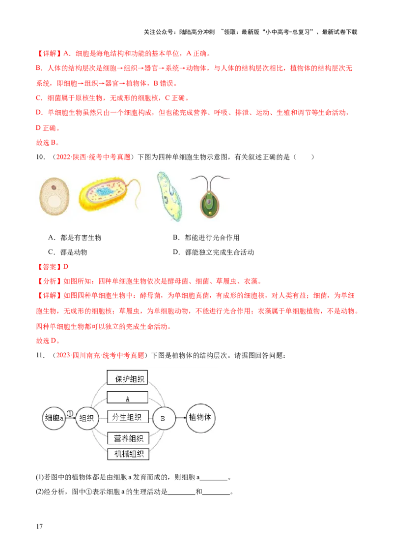 专题03细胞怎样构成生物体（解析版）_02中考总复习（2026版更新中）_08-生物-中考总复习_2024年中考复习资料_一轮复习_❤备战2024年中考生物一轮复习考点帮（全国通用）_练习