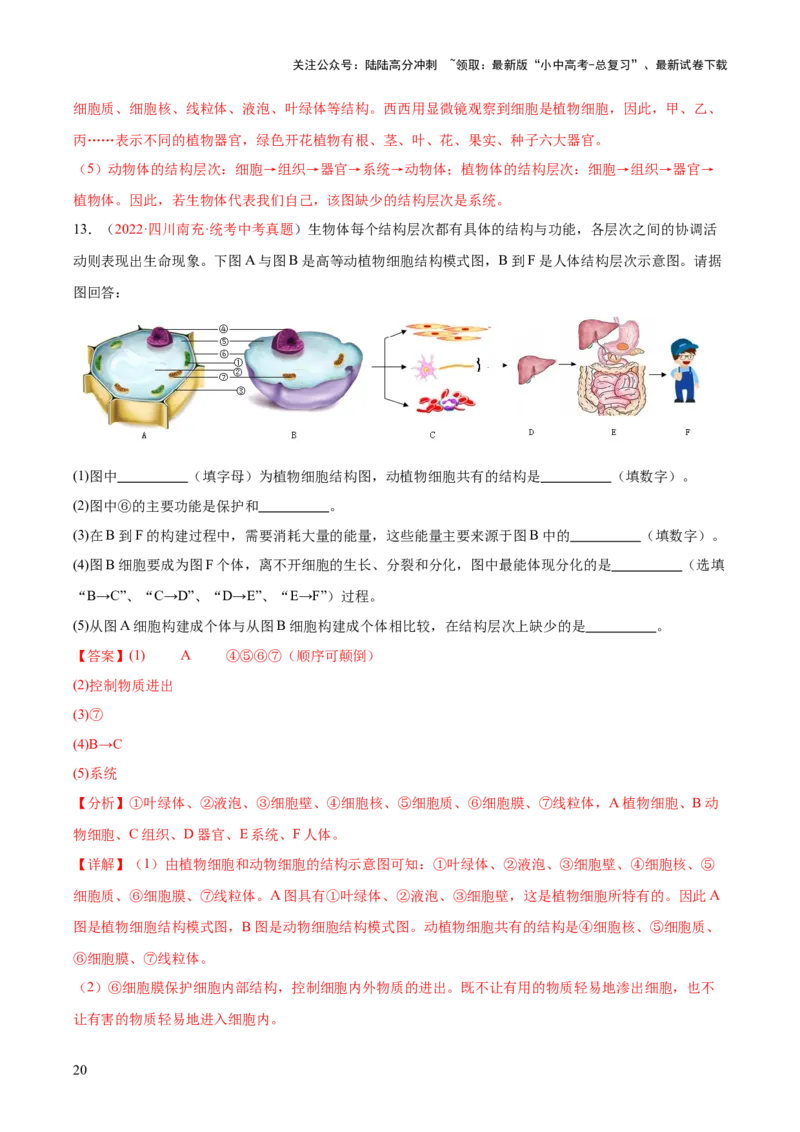 专题03细胞怎样构成生物体（解析版）_02中考总复习（2026版更新中）_08-生物-中考总复习_2024年中考复习资料_一轮复习_❤备战2024年中考生物一轮复习考点帮（全国通用）_练习