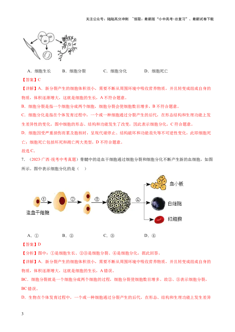 专题03细胞怎样构成生物体（解析版）_02中考总复习（2026版更新中）_08-生物-中考总复习_2024年中考复习资料_一轮复习_❤备战2024年中考生物一轮复习考点帮（全国通用）_练习