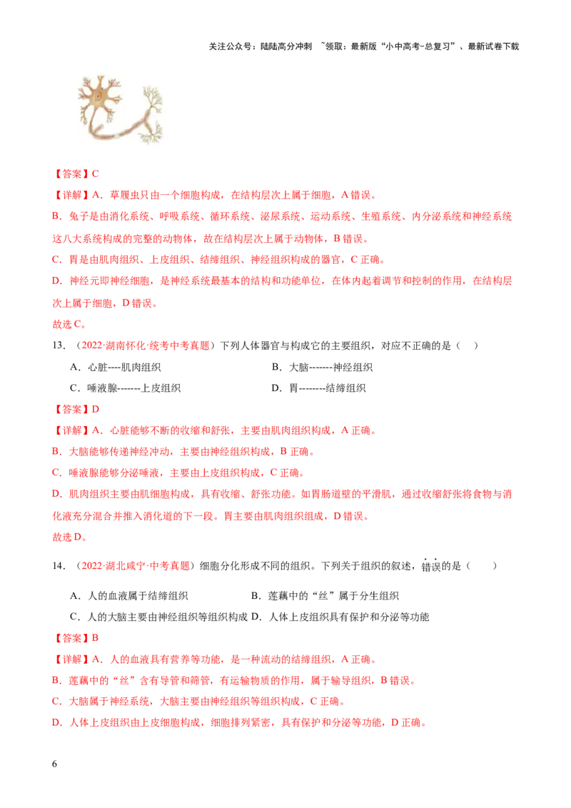 专题03细胞怎样构成生物体（解析版）_02中考总复习（2026版更新中）_08-生物-中考总复习_2024年中考复习资料_一轮复习_❤备战2024年中考生物一轮复习考点帮（全国通用）_练习