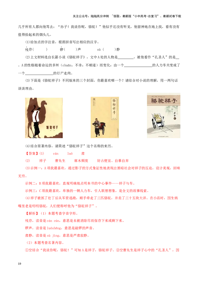 专题03《骆驼祥子》真题精练（单一题）（解析版）－备战2024年中考语文名著阅读知识（考点）梳理+真题演练_02中考总复习（2026版更新中）_01-语文-中考总复习_2024年中考资料_答案解析版