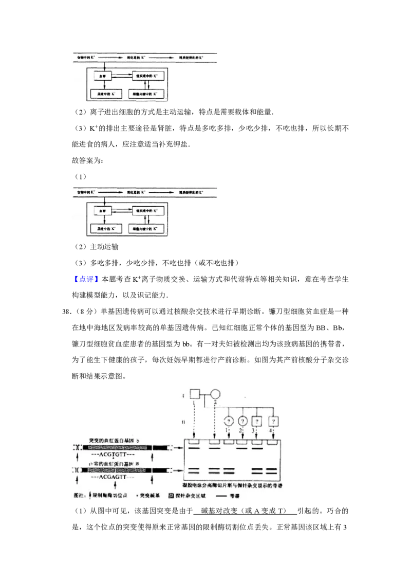2007年江苏省高考生物试卷解析版_全国卷+地方卷_6.生物_1.生物高考真题试卷_2008-2020年_地方卷_江苏高考生物07-20_A4word版_PDF版（赠送）
