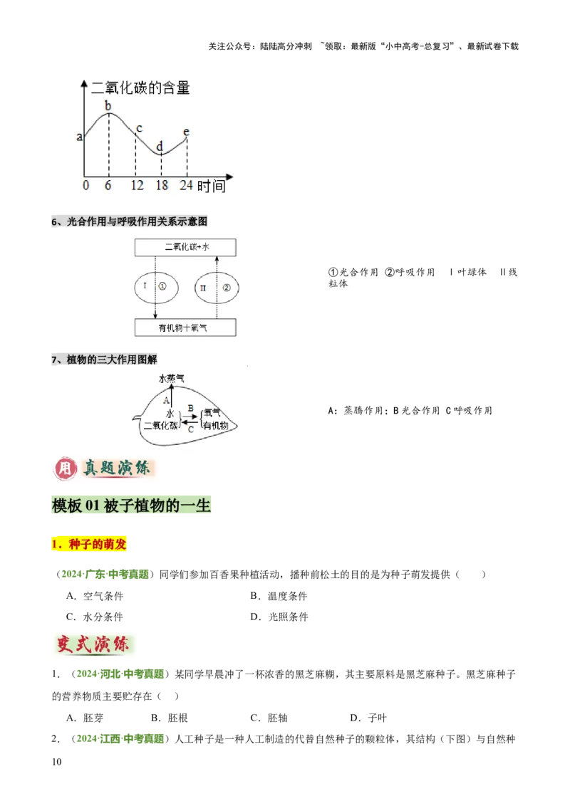 专题03植物的生活（3大模板）（原卷版）_02中考总复习（2026版更新中）_08-生物-中考总复习_2025中考复习资料_2025年中考生物答题方法模板