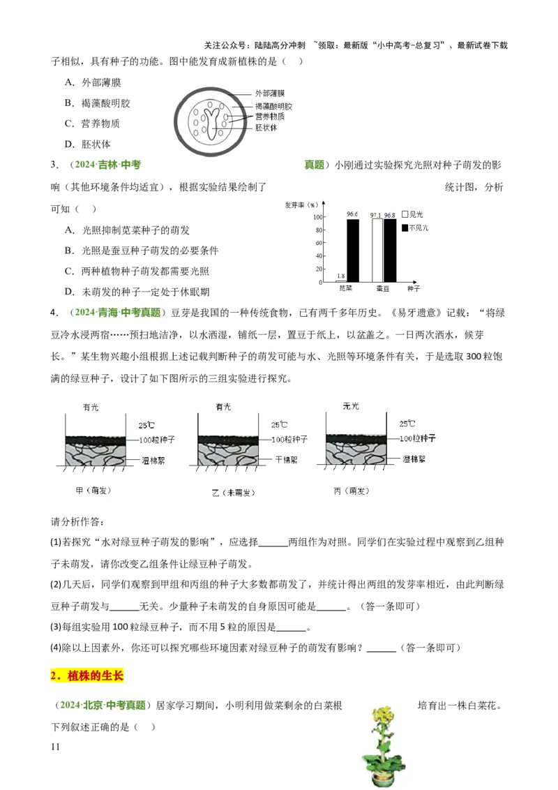 专题03植物的生活（3大模板）（原卷版）_02中考总复习（2026版更新中）_08-生物-中考总复习_2025中考复习资料_2025年中考生物答题方法模板