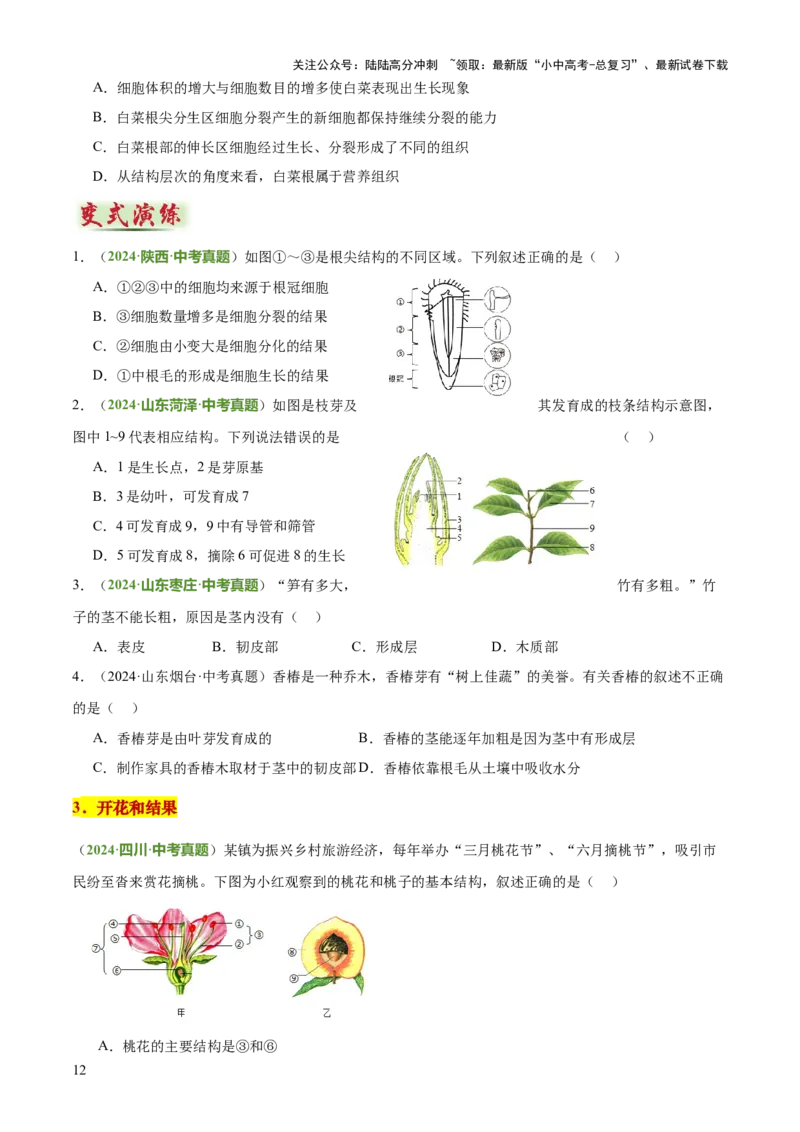 专题03植物的生活（3大模板）（原卷版）_02中考总复习（2026版更新中）_08-生物-中考总复习_2025中考复习资料_2025年中考生物答题方法模板