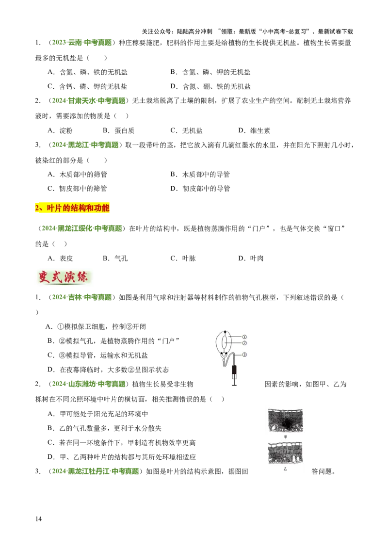 专题03植物的生活（3大模板）（原卷版）_02中考总复习（2026版更新中）_08-生物-中考总复习_2025中考复习资料_2025年中考生物答题方法模板