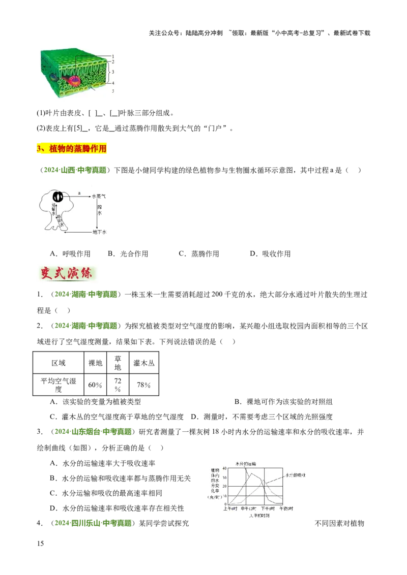 专题03植物的生活（3大模板）（原卷版）_02中考总复习（2026版更新中）_08-生物-中考总复习_2025中考复习资料_2025年中考生物答题方法模板